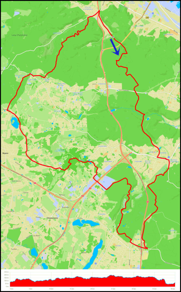 Demptowo - Krykulec - Jezioro Kackie - Gołębiewo - Osowa - Końskie Łąki - Donas - Głodowo - Szlak Wiewiórki - zjazd Jałowcowa