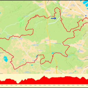 Demptowo – Gdynia Stocznia – Działki Leśne – Krzyżowa Góra – Głodowo – Niemotowo