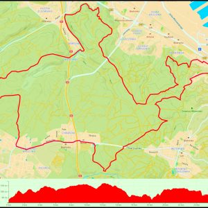 Działki Leśne – Witomino – Chwarzno-Wiczlino – Demptowo #