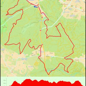 Demptowo – Pustki Cisowskie –  Marszewo – Dębowa Góra – Chwarzno – Krykulec