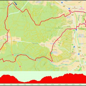 Demptowo – Działki Leśne – bulwar – Kamienna Góra – Witomino – Krykulec – Wiczlino – Chwarzno