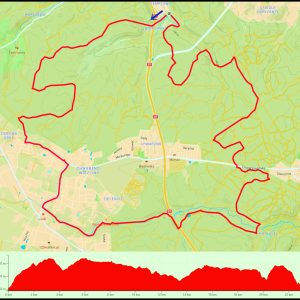 Demptowo – Dębowa Góra – Chwarzno-Wiczlino – Krykulec – Demptowo #