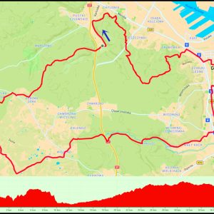 Demptowo – Leszczynki – Gdynia Stocznia – bulwar – Redłowo – Wiczlino – Głodowo – Dębowa Góra #