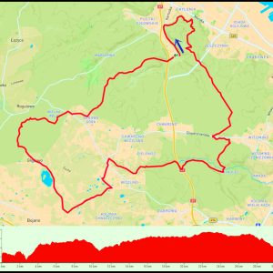 Demptowo – Krykulec – Chwarzno-Wiczlino – Głodowo (łatwo  i przyjemnie) #