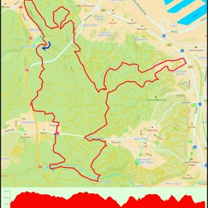 Demptowo – Chwarzno – Krykulec – Witomino – Działki Leśne – Leszczynki