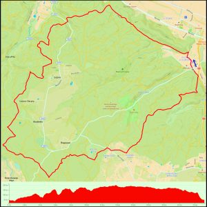 Pustki Cisowskie – Rumia – Łężyce – Rogulewo – Dębowa Góra