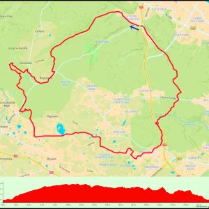 Pustki Cisowskie – Rogulewo – Głodówko – Bojano – Dąbrowa