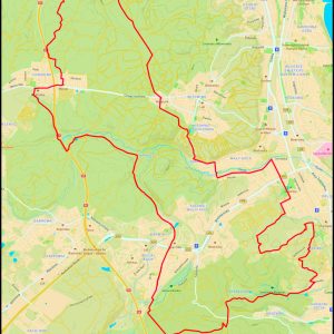 Demptowo – Chwarzno – Karwiny – Bernadowo – Swelina – Kolibki – Mały Kack – Witomino