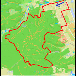 Oliwa – Kamienny Krąg – Dol. Radości – Dol. Wężów – Szwedzka Grobla – Samborowo – Zajęcza Dolina