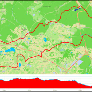 Demptowo – Koleczkowo – jezioro Kamień – Kieleńska Huta – Kielno – Mrówczy Zamek – Bojano – Wiczlino – Mały Kack – CH Riviera – Działki Leśne