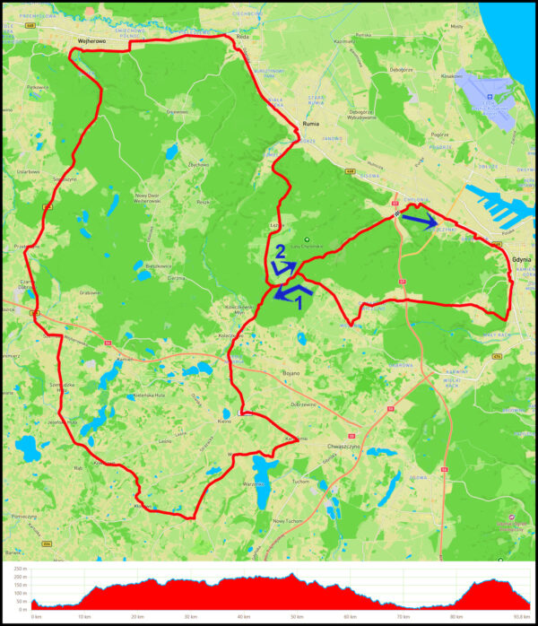 Demptowo - CH Riviera - Chwarzno - Koleczkowo - Karczemki - Miszewo - Czeczewo - Kowalewo - Szemud - Sopieszyno - Wejherowo - Rumia Szmelta - Łężyce