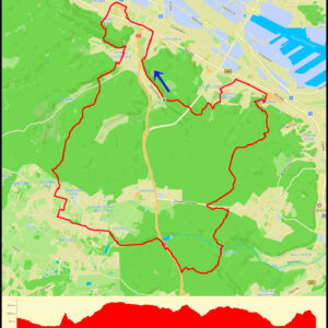 Demptowo – Cisowa – Dębowa Góra – Wiczlino – Krykulec – Grabówek