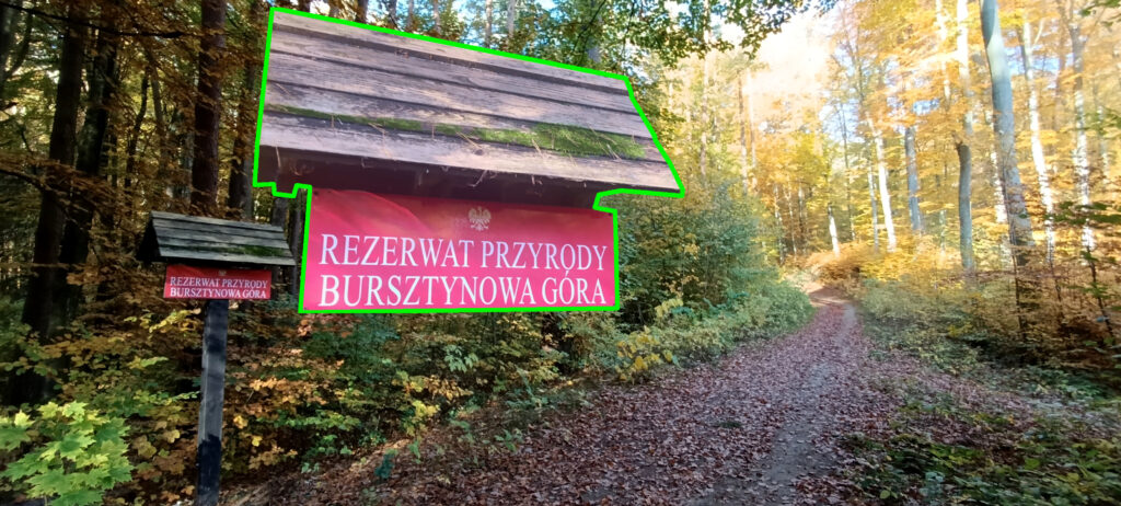 rezerwat Bursztynowa Góra