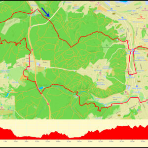 Demptowo – CH Riviera – Polanka Redłowska – Kępa Redłowska – Mały Kack – Krykulec – Chwarzno