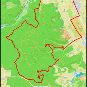 Oliwa – Dolina Wężów – rezerwat Wąwóz Huzarów – Koci Rów – Niedźwiedzia Dolina – Samborowo