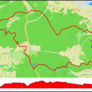 Gdynia CH Riviera – Działki Leśne – Demptowo – Chwarzno – Witomino